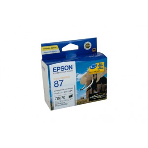 Epson T0870 R1900 Gloss Optimiser Ink Cartridge
