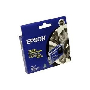 Epson Genuine T0491 Black Ink Cartridge